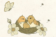 Dictation: short sentences