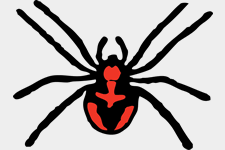 Dictation: short sentences