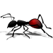 ant