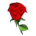 articles-rose.gif