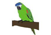 parrot-on.gif