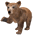 a-bear.gif