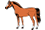 a-horse.gif