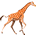 m-giraffe.gif