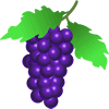 grapes-2.gif
