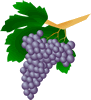grapes-2.gif