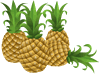 pineapples-2.gif