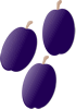 plums.gif