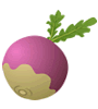 turnip-2.gif