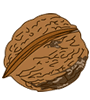 walnut-2.gif