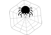 spider-web-120.gif