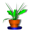 flowerpot-2p.gif